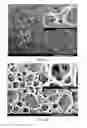 Fig. 02 - Patterned coatings having extreme wetting properties and methods of making