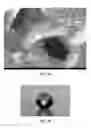 Fig. 04 - Patterned coatings having extreme wetting properties and methods of making