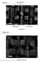 Fig. 05 - Composite material and producing method therefor