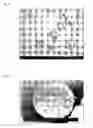 Fig. 03 - Composition and method for making a proppant