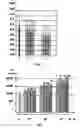 Fig. 04 - Use of a layer consisting of hydrophobic linear, or two-dimensional polycyclic aromatics as a barrier layer or an encapsulation and electric components constructed with a layer of this type and comprising organic polymers
