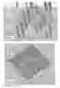 Fig. 09 - Modified metal mold for use in imprinting processes
