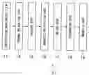 Fig. 01 - Magnetic recording medium and process of production thereof
