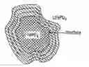 Fig. 01 - Cathode materials for secondary (rechargeable) lithium batteries