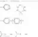 Fig. 07 - Photoreceptor with overcoat layer