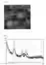 Fig. 04 - Chalcogenide precursor compound and method for preparing chalcogenide thin film using the same
