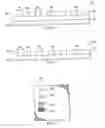 Fig. 04 - Patterning methods and masks