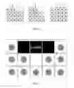 Fig. 17 - COGNITIVE TRAINING USING VISUAL STIMULI
