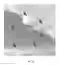 Fig. 27 - COGNITIVE TRAINING USING VISUAL STIMULI