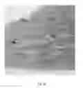 Fig. 28 - COGNITIVE TRAINING USING VISUAL STIMULI