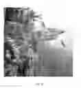 Fig. 30 - COGNITIVE TRAINING USING VISUAL STIMULI
