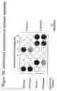Fig. 09 - Adenovirus-transfected primary cells and methods of pathway mapping