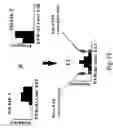 Fig. 49 - Computer systems and methods for associating genes with traits using cross species data