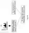 Fig. 50 - Computer systems and methods for associating genes with traits using cross species data