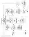 Fig. 04 - System and method for fully automated robotic-assisted image analysis for in vitro and in vivo genotoxicity testing