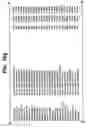 Fig. 23 - System and method for fully automated robotic-assisted image analysis for in vitro and in vivo genotoxicity testing