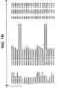 Fig. 28 - System and method for fully automated robotic-assisted image analysis for in vitro and in vivo genotoxicity testing