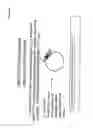Fig. 08 - Small interfering RNA libraries and methods of synthesis and use