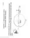 Fig. 13 - Small interfering RNA libraries and methods of synthesis and use