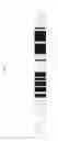 Fig. 08 - MICRORNAS AND RELATED NUCLEIC ACIDS