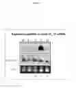 Fig. 10 - MICRORNAS AND RELATED NUCLEIC ACIDS