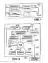 Fig. 02 - Multiplexed diagnostic platform for point-of care pathogen detection