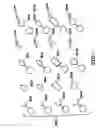 Fig. 05 - Multiplexed diagnostic platform for point-of care pathogen detection