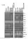 Fig. 06 - Method for detecting radiation exposure