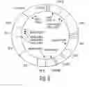 Fig. 09 - Genetic analysis and authentication