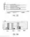Fig. 12 - Genetic analysis and authentication