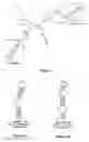 Fig. 03 - Method of identifying hairpin DNA probes by partial fold analysis