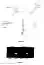 Fig. 05 - Method of identifying hairpin DNA probes by partial fold analysis