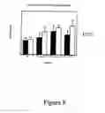 Fig. 09 - METHODS OF IN VITRO PROPAGATION AND DETECTION OF INFECTIOUS PRION