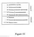 Fig. 11 - METHODS OF IN VITRO PROPAGATION AND DETECTION OF INFECTIOUS PRION