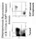 Fig. 12 - METHODS OF IN VITRO PROPAGATION AND DETECTION OF INFECTIOUS PRION