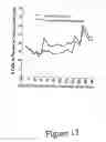 Fig. 14 - METHODS OF IN VITRO PROPAGATION AND DETECTION OF INFECTIOUS PRION