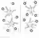Fig. 01 - COMPARATIVE GENOMIC HYBRIDIZATION ON ENCODED MULTIPLEX PARTICLES