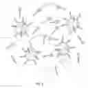Fig. 03 - COMPARATIVE GENOMIC HYBRIDIZATION ON ENCODED MULTIPLEX PARTICLES