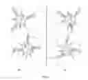 Fig. 05 - COMPARATIVE GENOMIC HYBRIDIZATION ON ENCODED MULTIPLEX PARTICLES