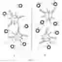 Fig. 06 - COMPARATIVE GENOMIC HYBRIDIZATION ON ENCODED MULTIPLEX PARTICLES