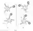 Fig. 07 - COMPARATIVE GENOMIC HYBRIDIZATION ON ENCODED MULTIPLEX PARTICLES