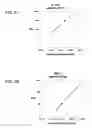 Fig. 10 - MULTIPLEXED ANALYSES OF TEST SAMPLES