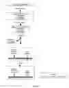 Fig. 06 - MULTIPLEXED ANALYSES OF TEST SAMPLES