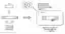 Fig. 01 - Screening and use of reagents which block or activate intein splicing utilizing natural or homologous exteins