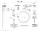 Fig. 11 - Screening and use of reagents which block or activate intein splicing utilizing natural or homologous exteins