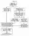 Fig. 15 - Screening and use of reagents which block or activate intein splicing utilizing natural or homologous exteins