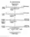 Fig. 01 - METHODS OF ANALYZING CHROMOSOMAL TRANSLOCATIONS USING FLUORESCENCE IN SITU HYBRIDIZATION (FISH)