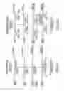 Fig. 02 - METHODS OF ANALYZING CHROMOSOMAL TRANSLOCATIONS USING FLUORESCENCE IN SITU HYBRIDIZATION (FISH)