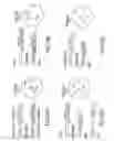 Fig. 03 - METHODS OF ANALYZING CHROMOSOMAL TRANSLOCATIONS USING FLUORESCENCE IN SITU HYBRIDIZATION (FISH)