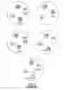 Fig. 06 - METHODS OF ANALYZING CHROMOSOMAL TRANSLOCATIONS USING FLUORESCENCE IN SITU HYBRIDIZATION (FISH)